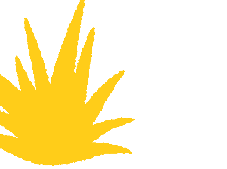 yellow cartoon illustrated bush