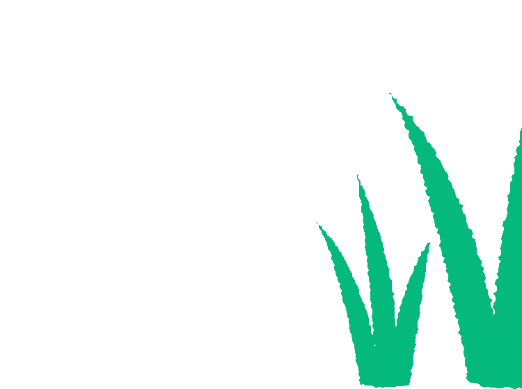 illustrated cartoon green grass