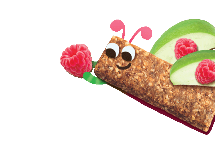 cartoon flying bug made from organix raspberry and apple oaty bars and raspberries and apple slices as wings