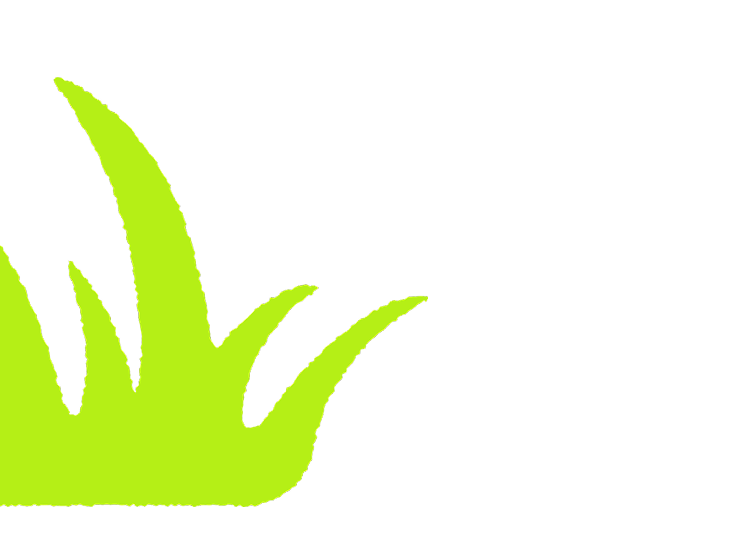 decoration