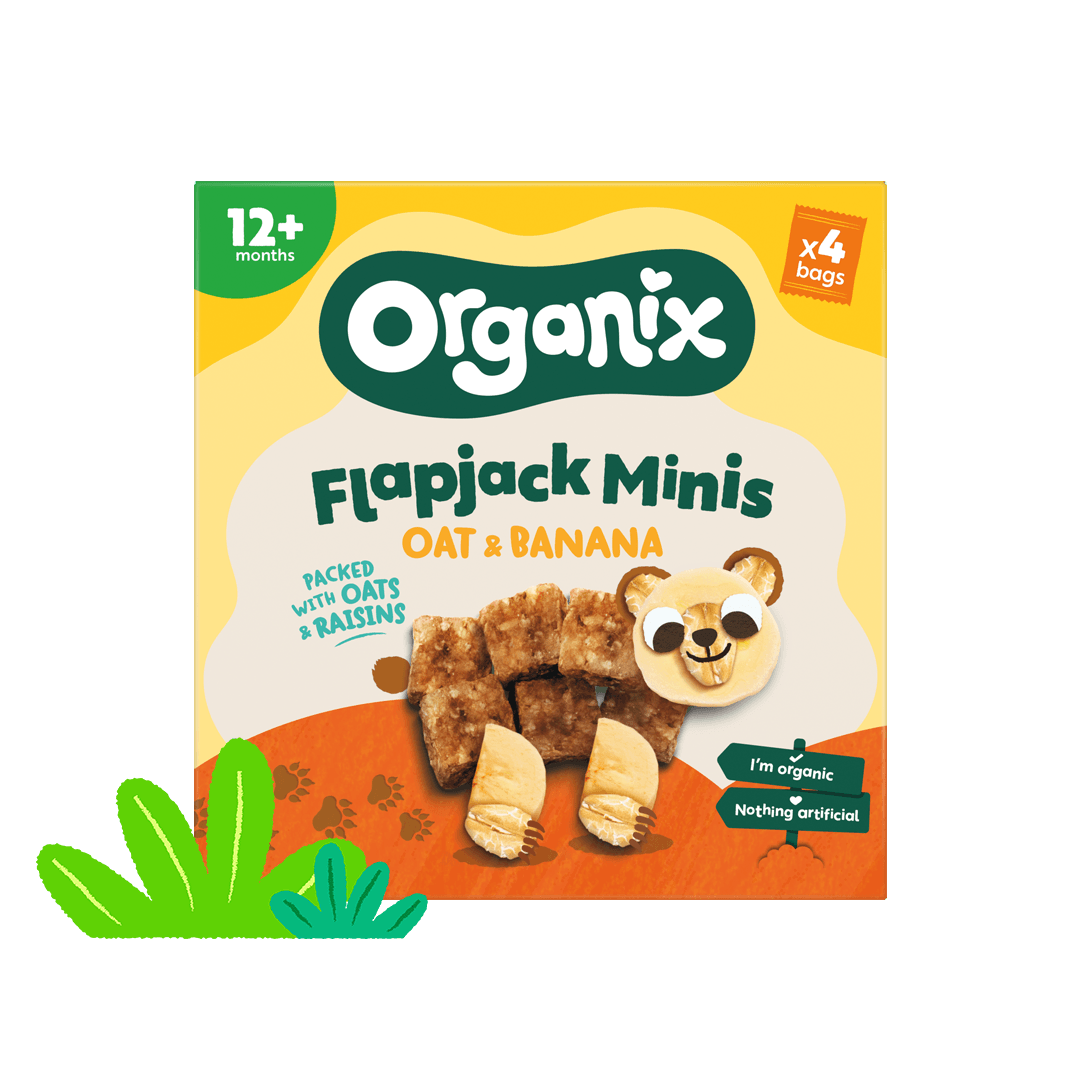 Flapjack Minis - Oat & Banana