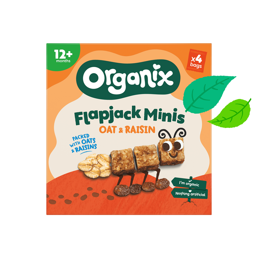 Flapjack Minis - Oat & Raisin